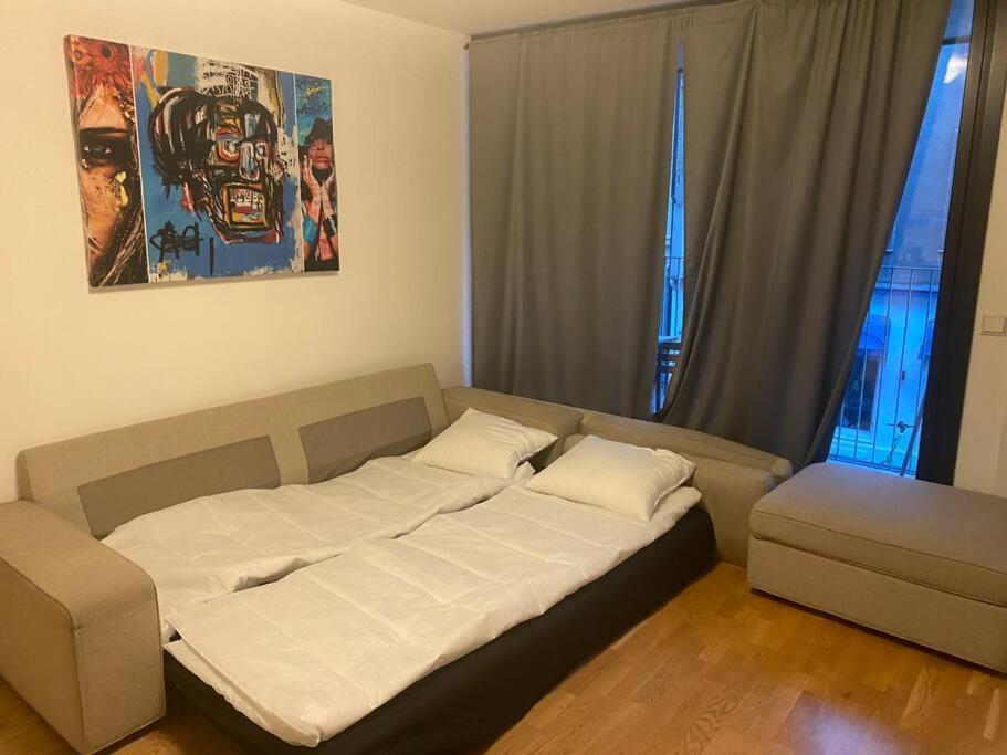 Leilighet Midt I Oslo Sentrum 2 Soverom Og Stue Экстерьер фото