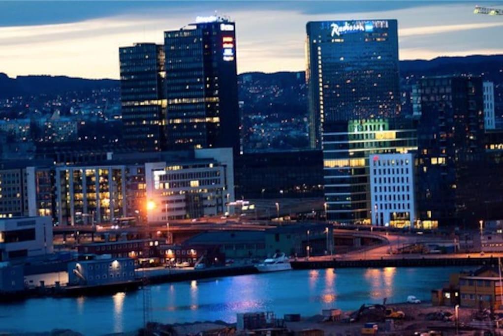 Leilighet Midt I Oslo Sentrum 2 Soverom Og Stue Экстерьер фото